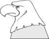 Bald Eagle Head Outline Clip Art